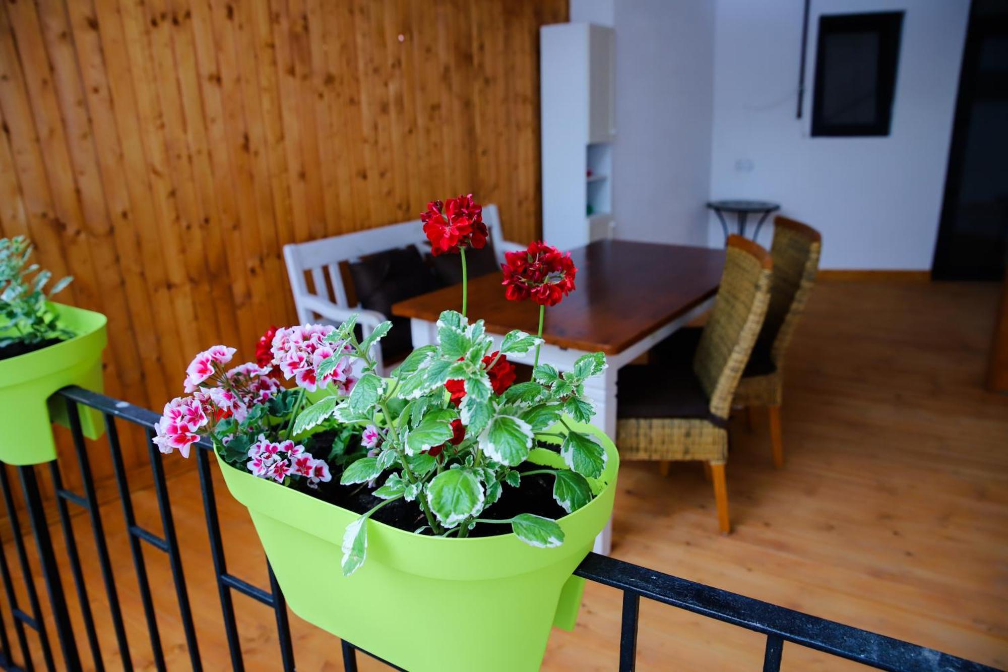 Floasiu Residence Guesthouse Sibiu Dış mekan fotoğraf